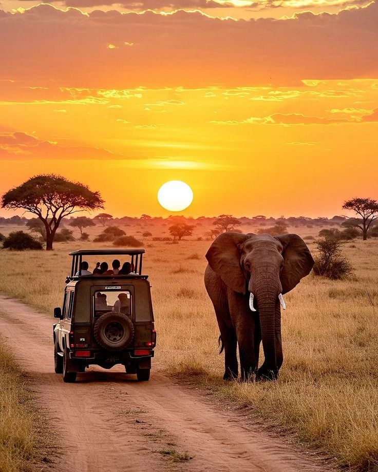 Travel Insurance